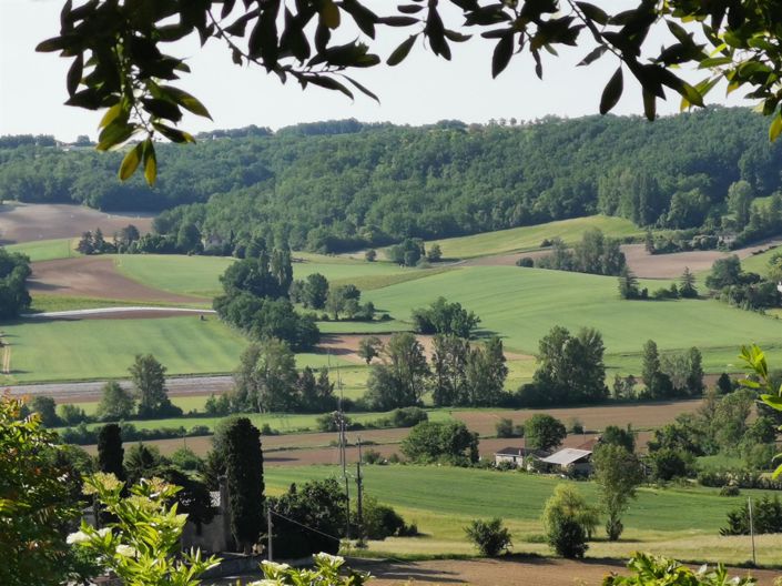Image No.12-Maison de 3 chambres à vendre à Lauzerte