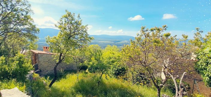 Image No.11-1 Bed House for sale