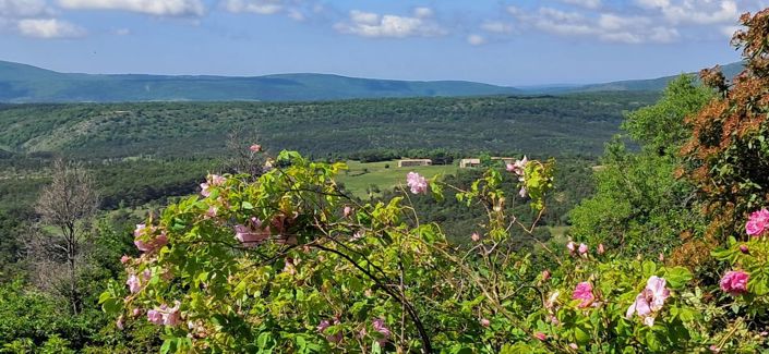 Image No.16-1 Bed House for sale