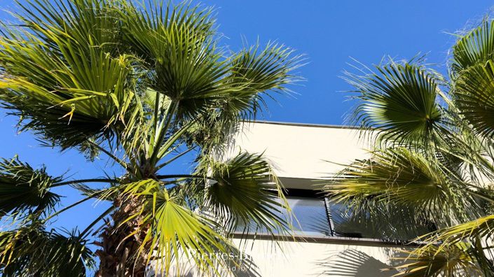 Image No.7-Maison de 4 chambres à vendre à Herault