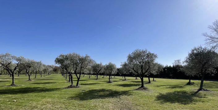 Image No.50-Maison de 5 chambres à vendre à L'Isle-sur-la-Sorgue