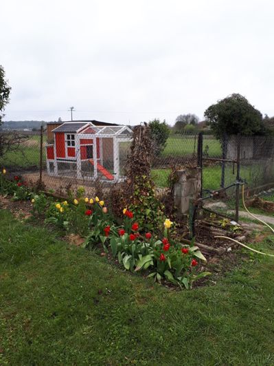 Image No.11-3 Bed House for sale