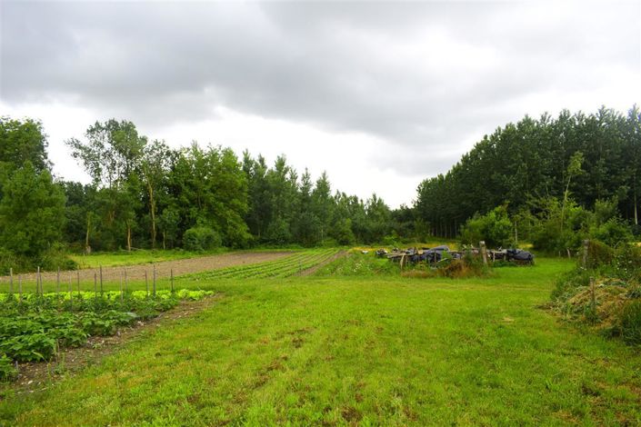 Image No.4-4 Bed House for sale