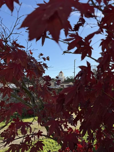 Image No.20-4 Bed House for sale