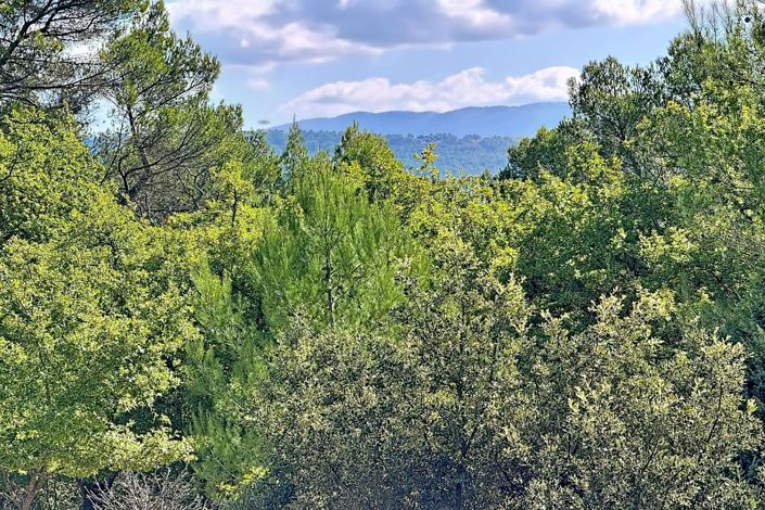 Image No.8-Maison de 5 chambres à vendre à Vaucluse