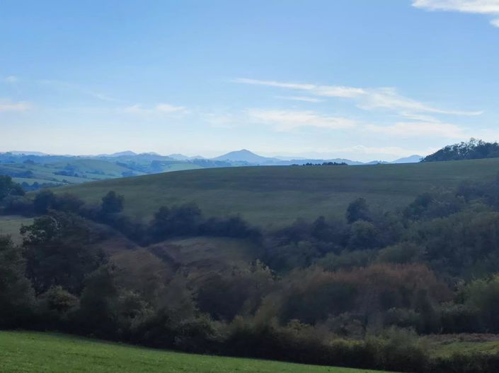 Image No.24-4 Bed House for sale