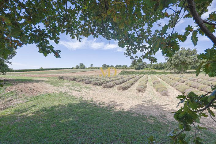 Image No.6-7 Bed House for sale