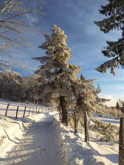 Image No.27-3 Bed House for sale