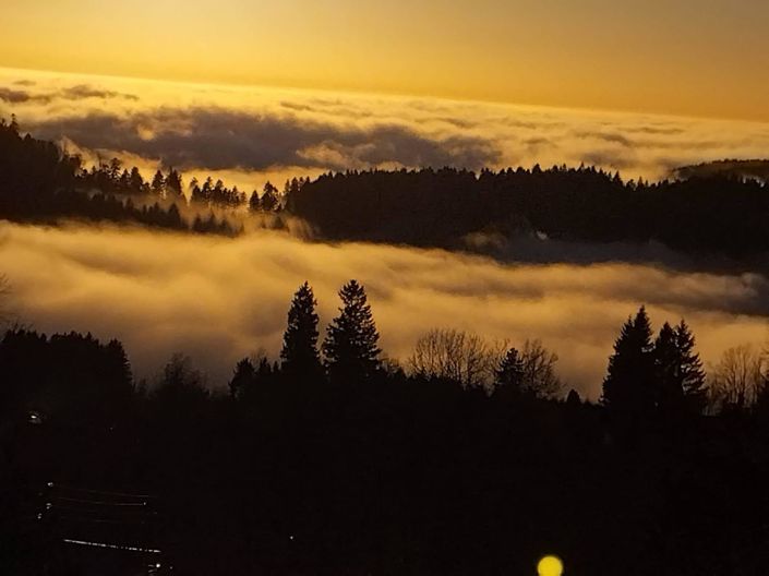 Image No.28-3 Bed House for sale