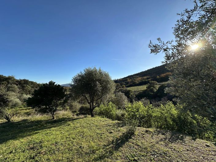 Image No.12-Maison de 5 chambres à vendre à Grimaud