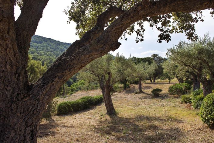 Image No.6-Maison de 5 chambres à vendre à Grimaud