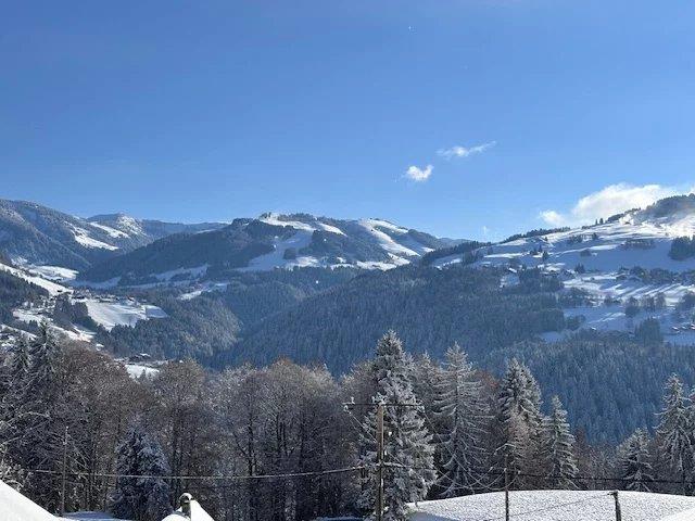 Image No.30-4 Bed House for sale