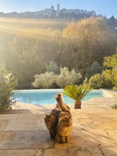 Image No.25-Maison de 4 chambres à vendre à Saint-Paul-de-Vence