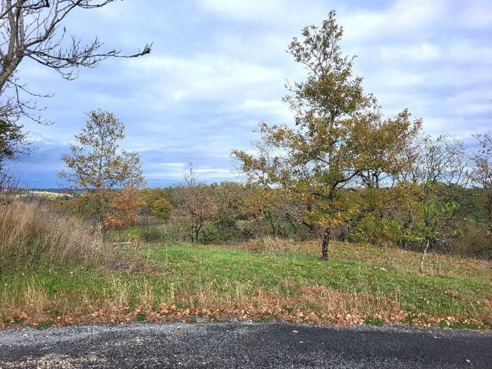 Image No.9-4 Bed House for sale