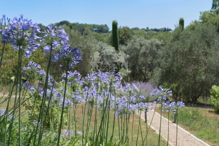 Image No.23-Maison de 4 chambres à vendre à Châteauneuf-Grasse