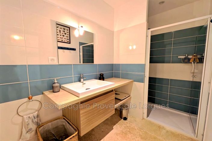 Image No.21-Maison de 5 chambres à vendre à Lorgues