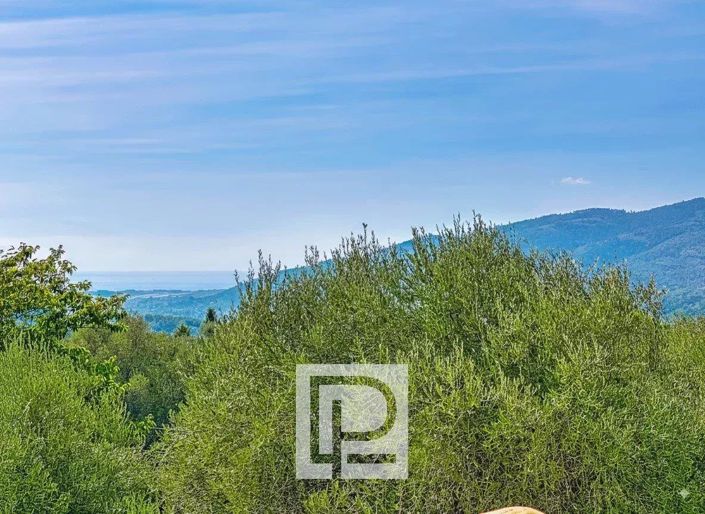 Image No.4-Maison de 6 chambres à vendre à Grasse