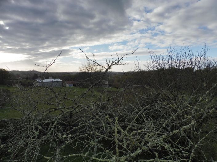 Image No.22-Maison de 5 chambres à vendre à Ribérac