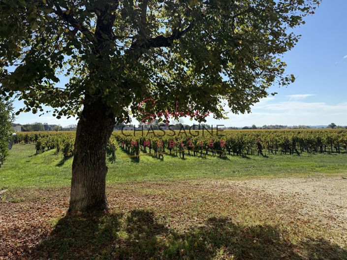 Image No.16-Maison de 3 chambres à vendre à Saint-Emilion