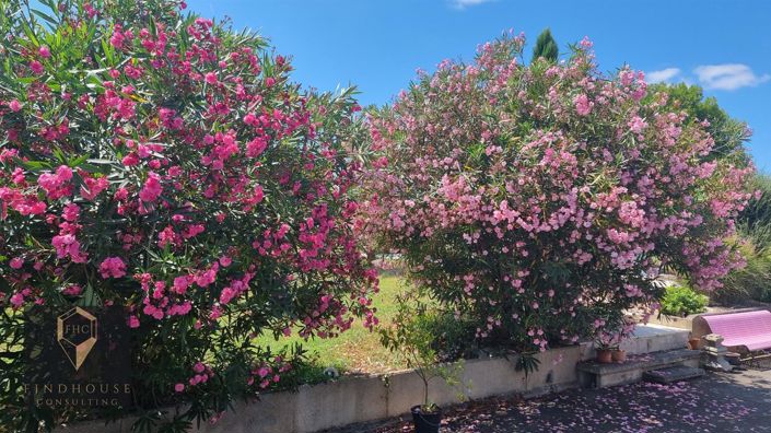 Image No.22-5 Bed House for sale