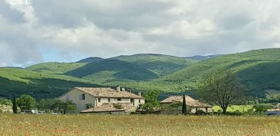 1 - Forcalquier, Maison