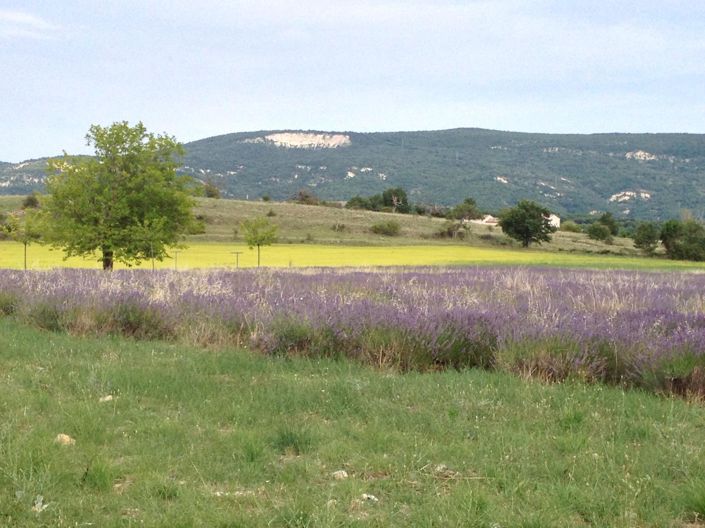 Image No.13-Maison de 9 chambres à vendre à Forcalquier