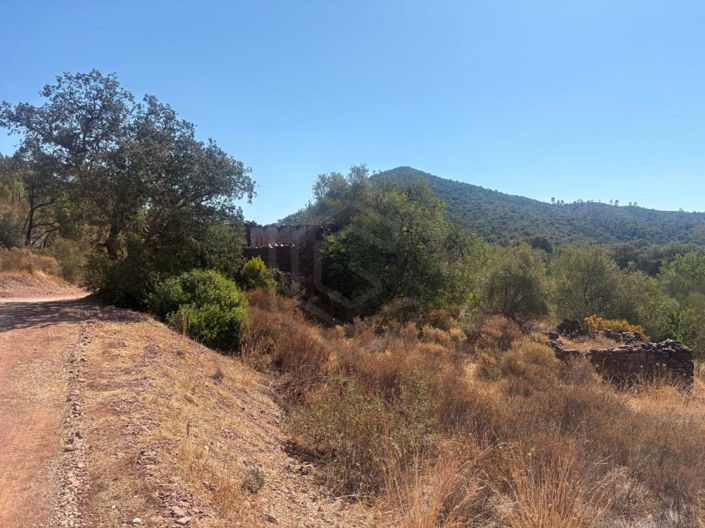 Image No.14-4 Bed House for sale