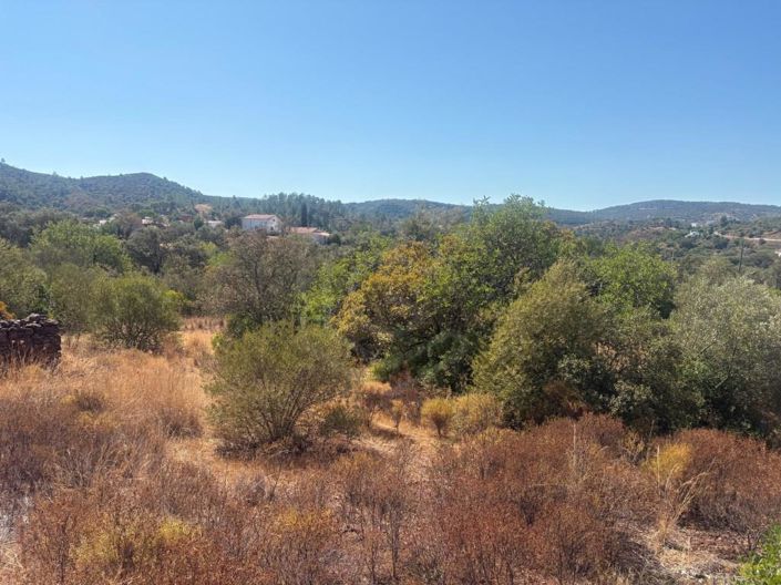 Image No.17-4 Bed House for sale