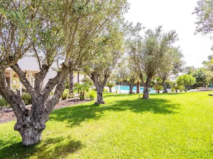 Image No.38-2 Bed House for sale