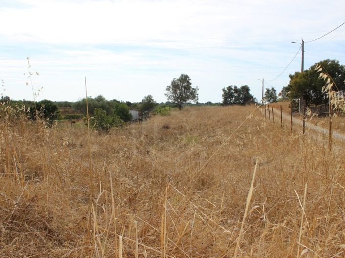 Image No.8-1 Bed House for sale