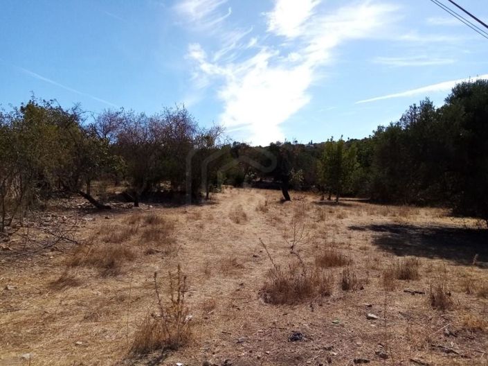 Image No.11-Maison à vendre à Loule