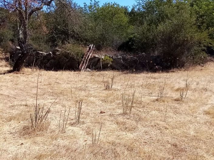 Image No.12-House for sale