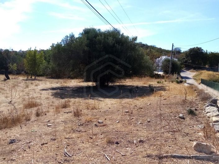 Image No.14-House for sale