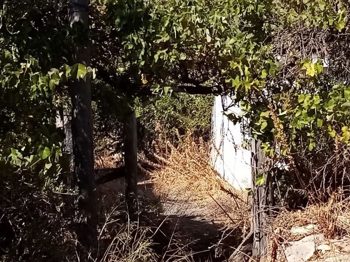 Image No.20-House for sale