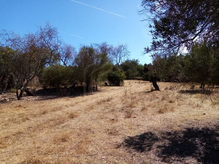 Image No.3-Maison à vendre à Loule