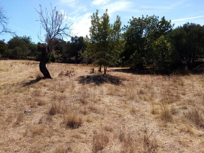 Image No.8-House for sale