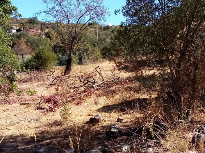 Image No.9-Maison à vendre à Loule