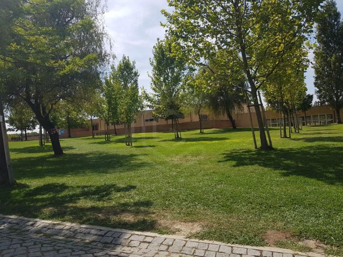 Image No.14-Appartement de 3 chambres à vendre à Castelo Branco