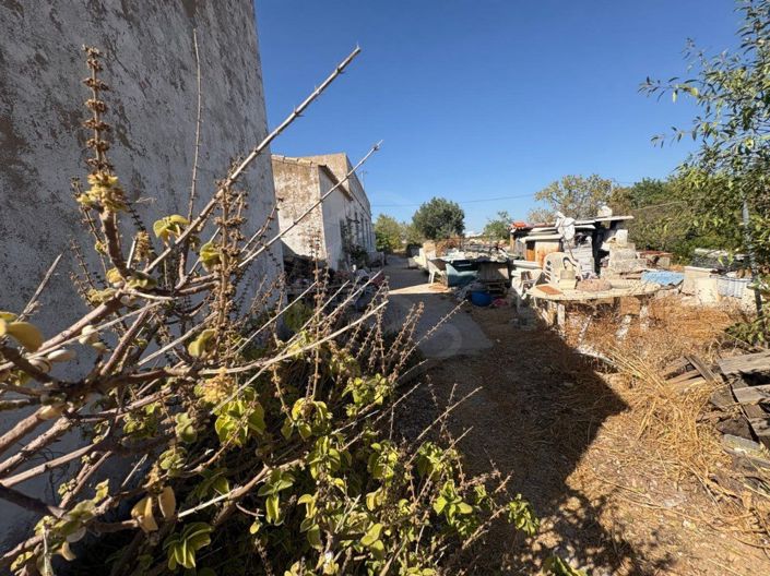 Image No.12-Maison de 3 chambres à vendre à Loule