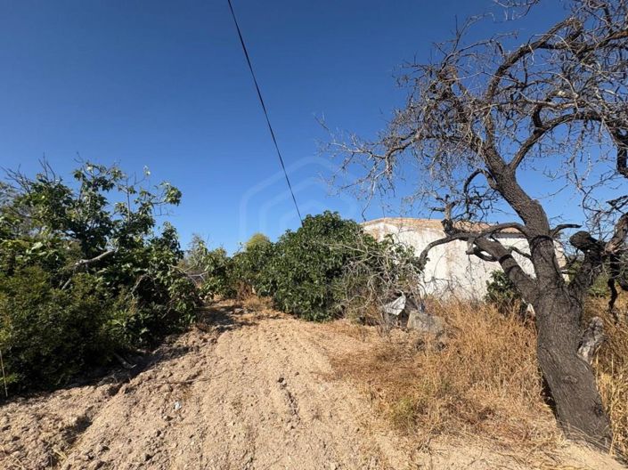 Image No.13-3 Bed House for sale