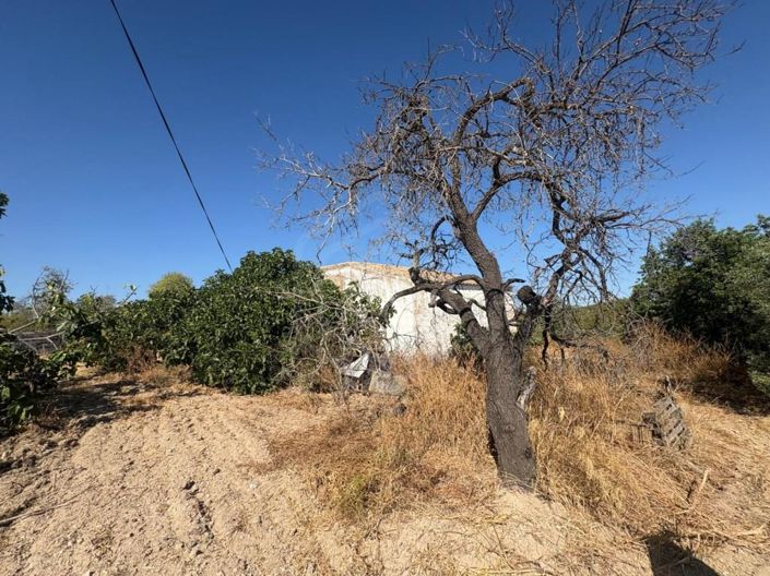 Image No.14-3 Bed House for sale