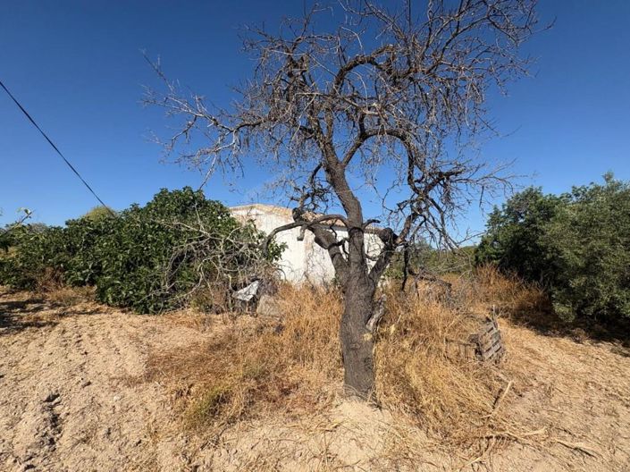 Image No.16-3 Bed House for sale