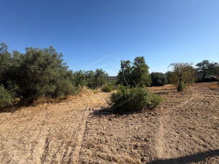 Image No.16-Maison de 3 chambres à vendre à Loule