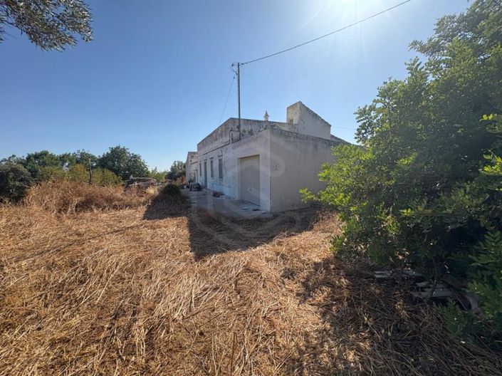 Image No.19-3 Bed House for sale