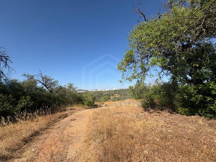 Image No.22-3 Bed House for sale