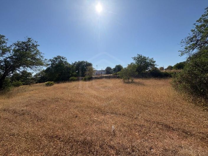 Image No.23-3 Bed House for sale