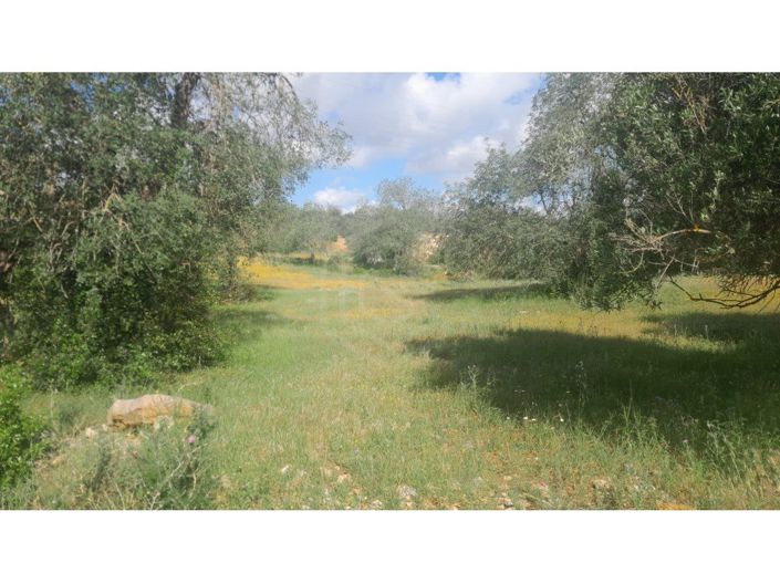 Image No.10-3 Bed House for sale