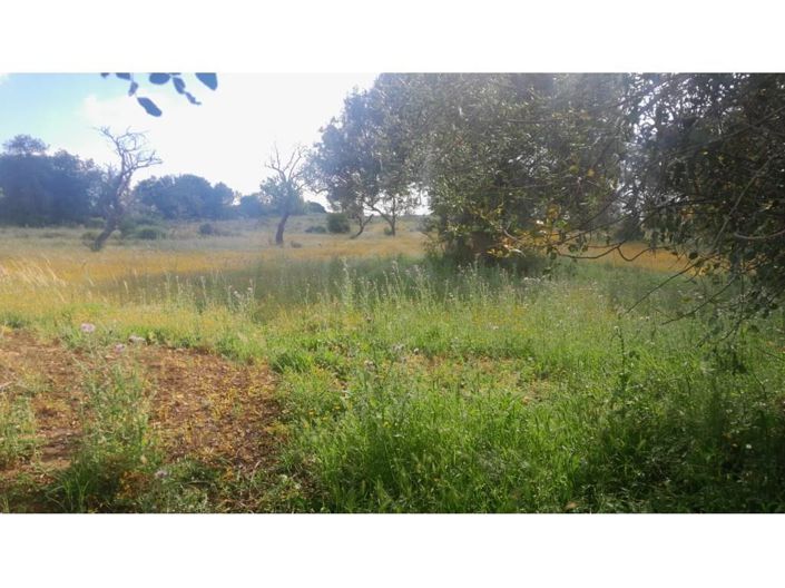 Image No.11-3 Bed House for sale