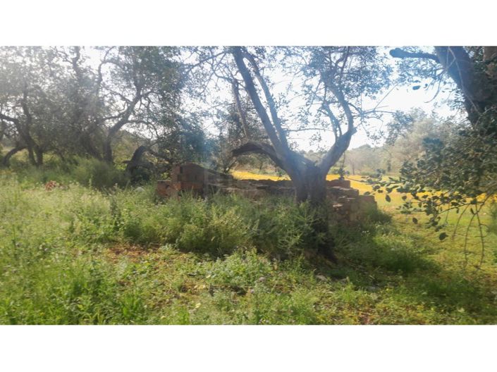 Image No.14-3 Bed House for sale