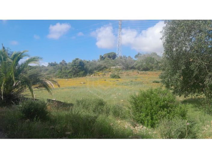 Image No.15-3 Bed House for sale